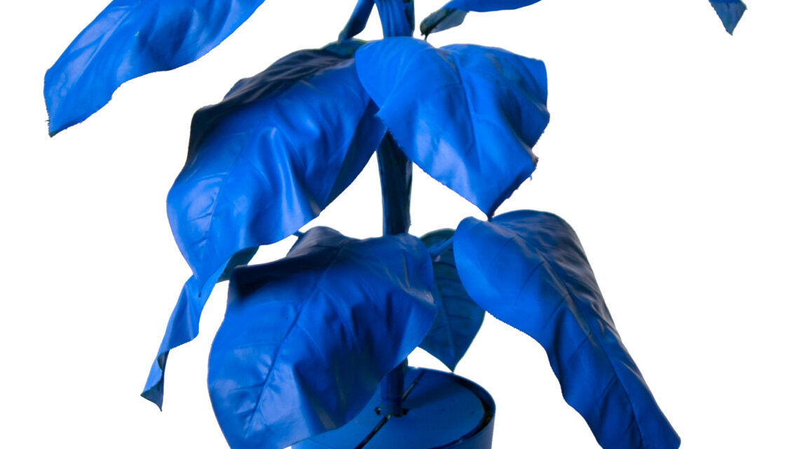 Fausse plante peinturée bleue Monochrome